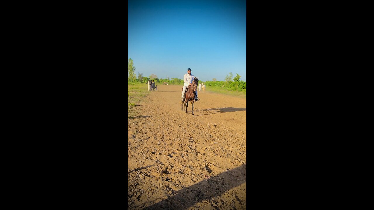 🐎🐎🐎🐎🥰🥰🥰👍