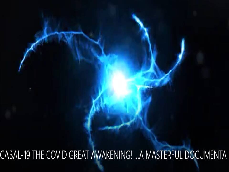 CABAL 19 AND COVID (mirrored)