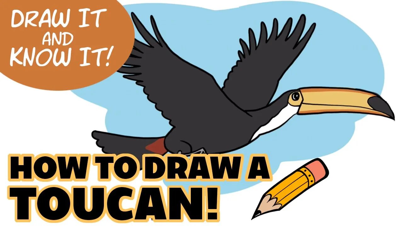 Draw it & Know it (Art Lesson Edition) | The Toucan | Reasons for Hope