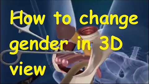 How to change gender in 3D view