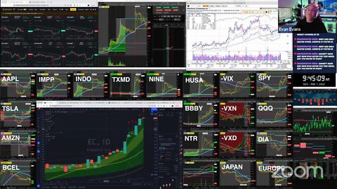 LIVE: Morning Market Trading | $BBBY $INDO $IMPP $TXMD $NINE (MAR 7, 2022)