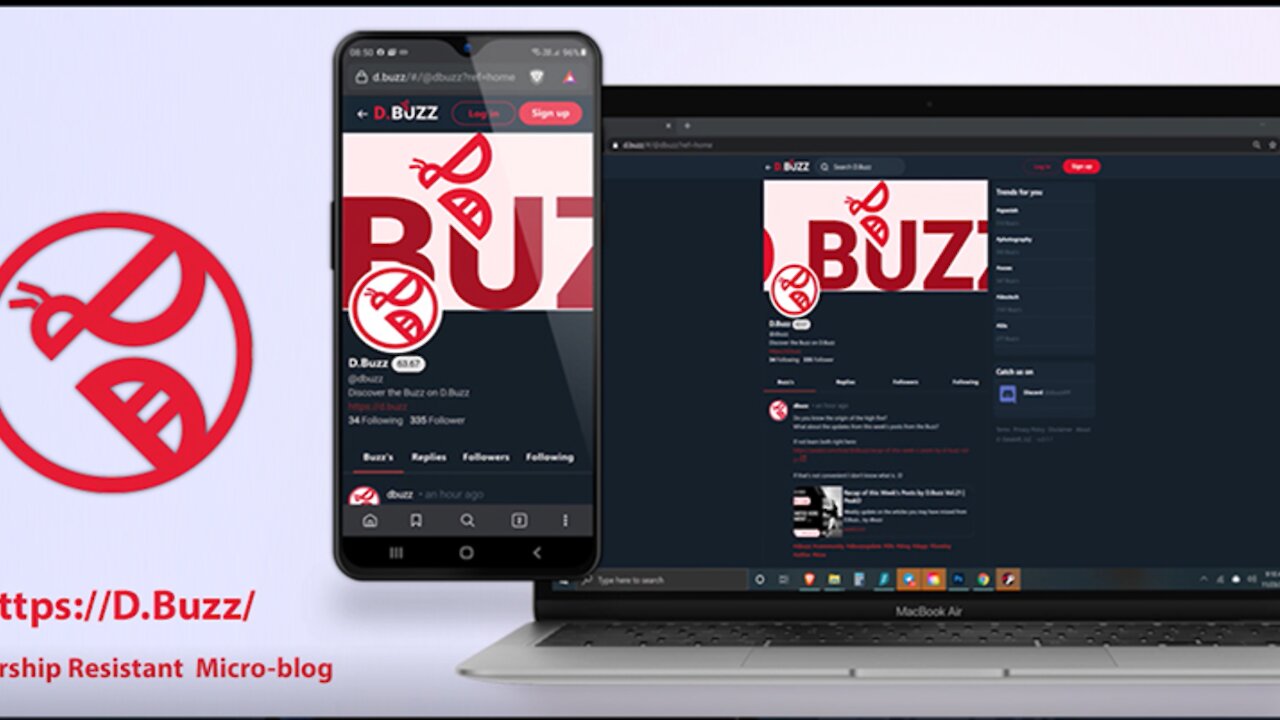 New Account : How to Sign up to D.Buzz