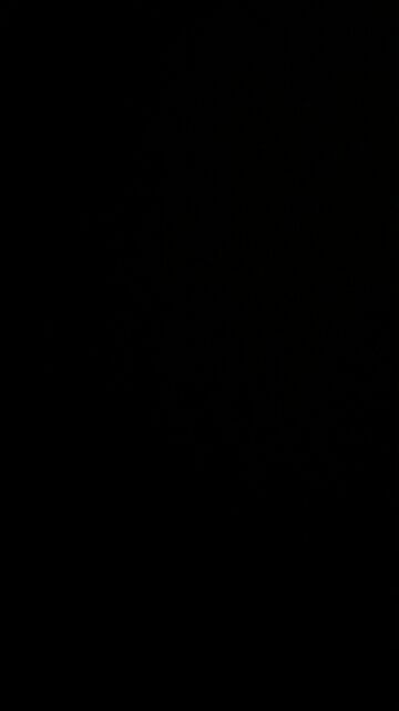 New York City tour guide