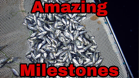 CCA Texas has reached a major milestone!