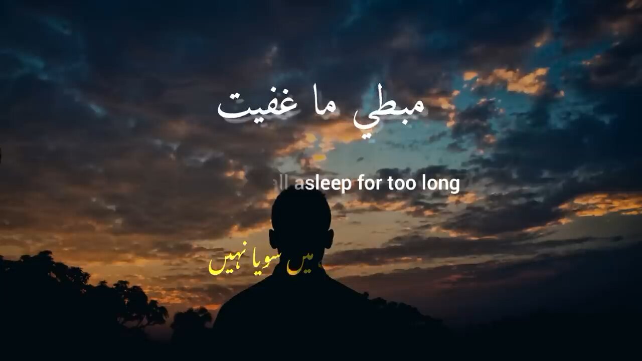 Arabic song into your arms/ new arabic song|