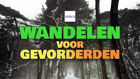 Wandelen voor Gevorderden | De Interdimensionale Tolk Show #77