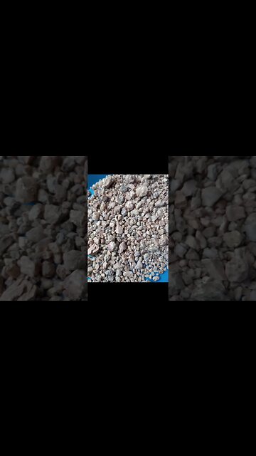 Rainy Day Gold Fever!! #shorts #gold