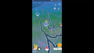 Live de Pokémon GO - Evento Selva Exuberante