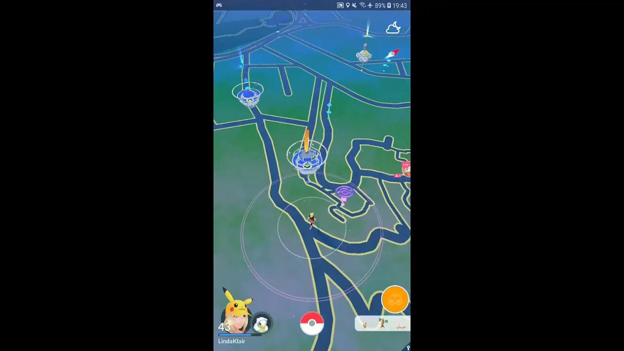 Live de Pokémon GO - Evento Selva Exuberante