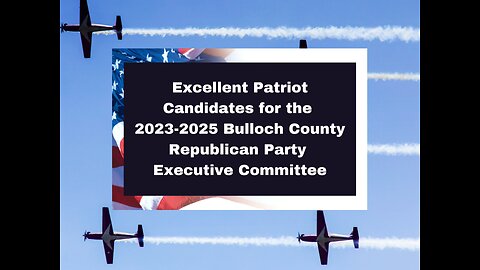 Lynn Batten for 1st Vice Chair of Bulloch GOP