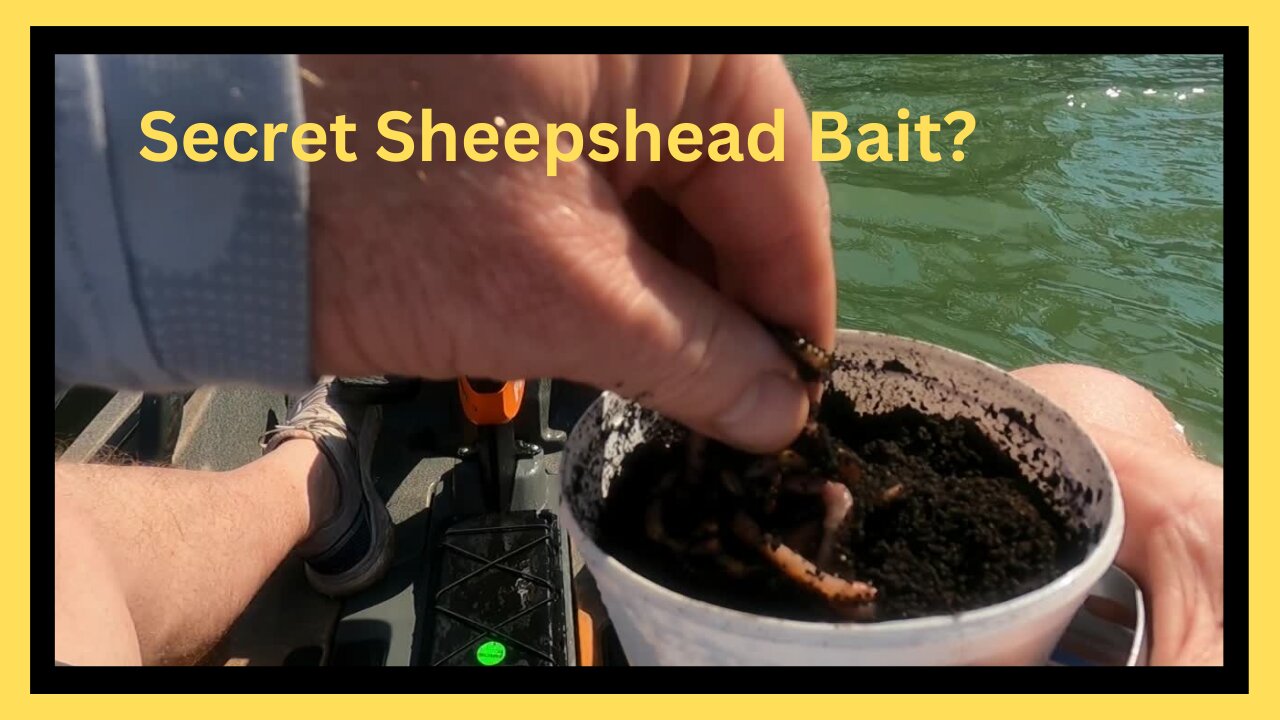 Secret Sheepshead Bait?