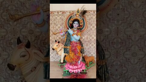 मोर पंख माथे में चढ़ा ओठो पर मुस्कान है#trending #krishna #shorts #love #live #viral