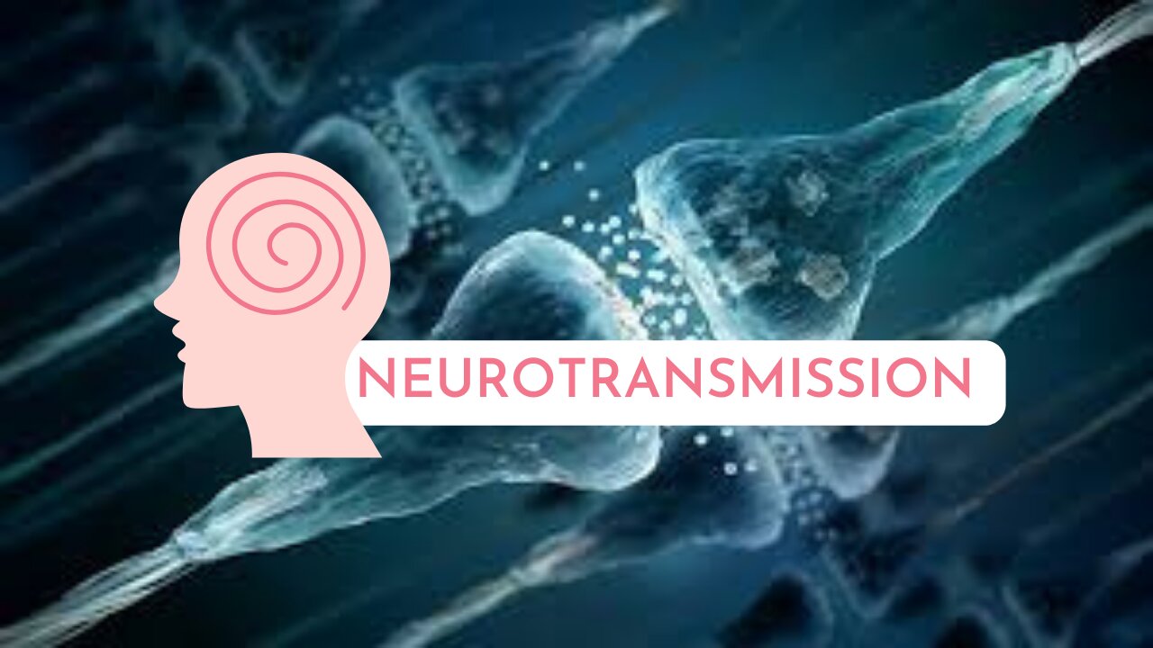 Mastering Neurotransmission: A Comprehensive Lesson for Students