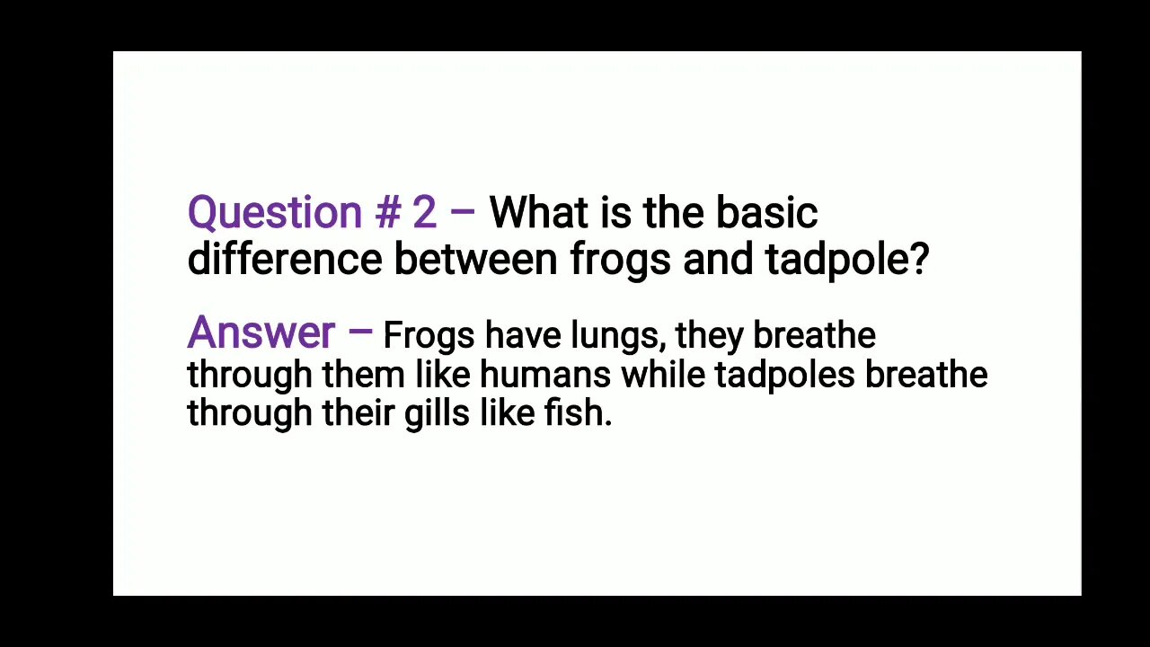 CLASS 3 SCIENCE UNIT 4 PART 2