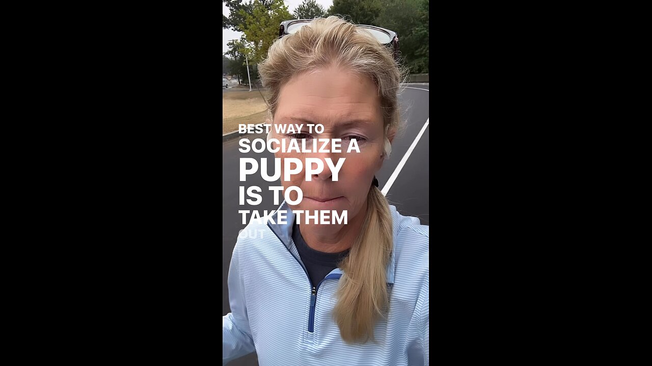 Real Life Puppy Training