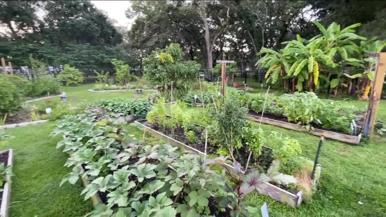 Bay area group provides fresh produce, pantry to food insecure community