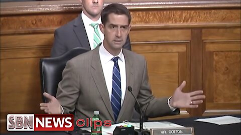 Cotton: "Inflammatory Accusations Against Bible Believing Christians" - 4294