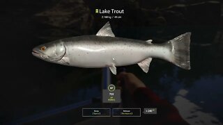 Russian Fishing 4 Kuori lake Lake Trout 2.168 Kg