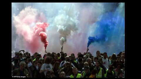 Funny Kitten Video WTCB7