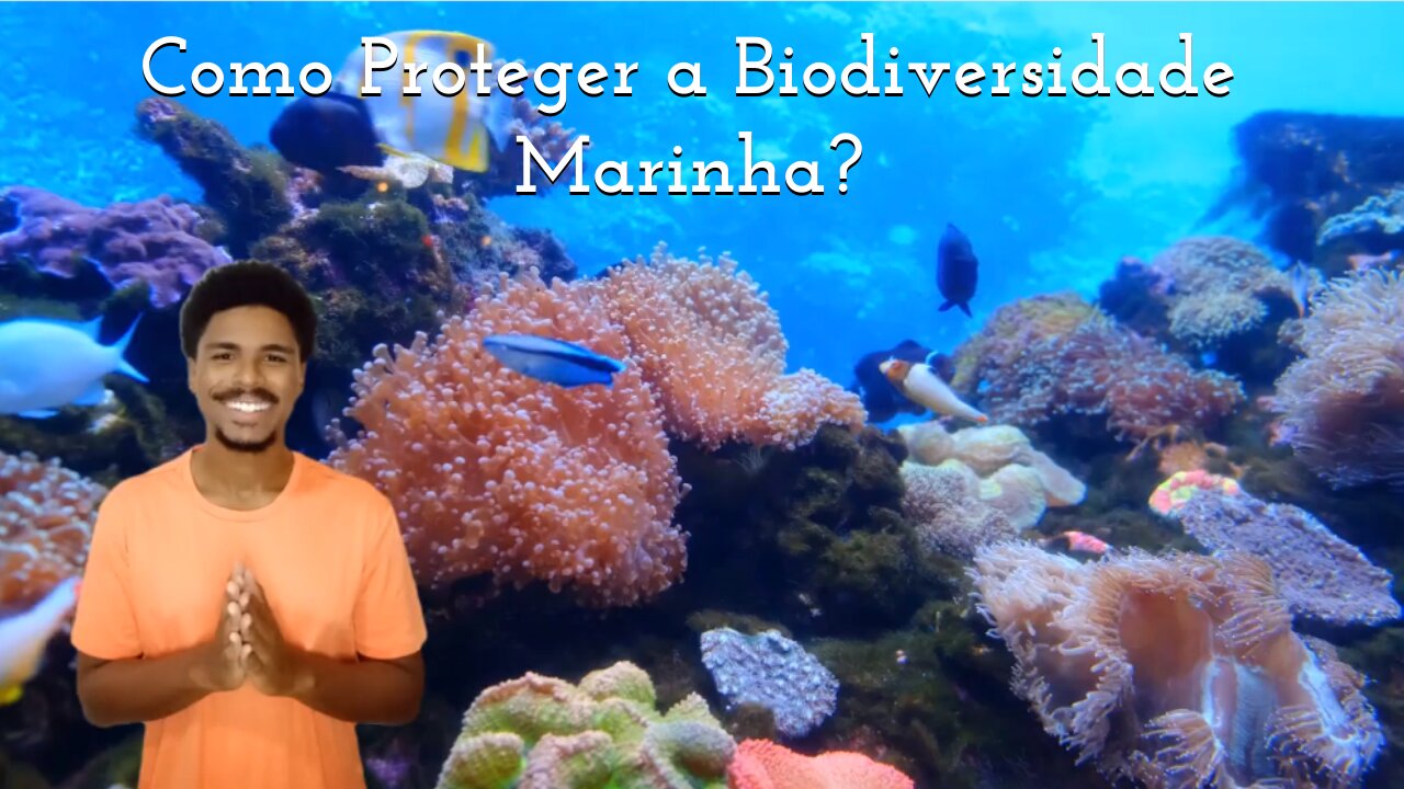 Como Proteger a Biodiversidade Marinha?