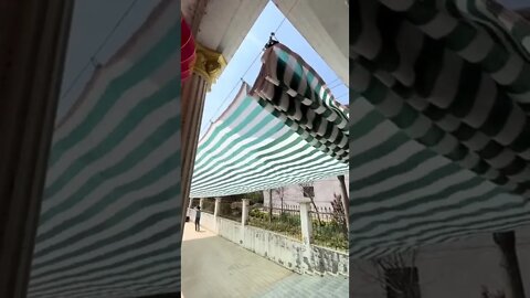 #shorts #2022 funny,prank,funjokes,dad jokes,funny memes,funny video,fun,laughing,funny animal,knock