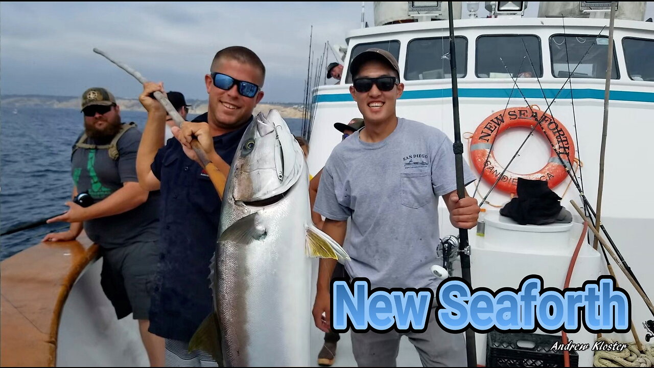 (49) 09/03/2018 - Better grade local Yellowtail finally started biting. New Seaforth.