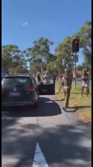 Woman DELIBERATELY crashes into convoy PART 2