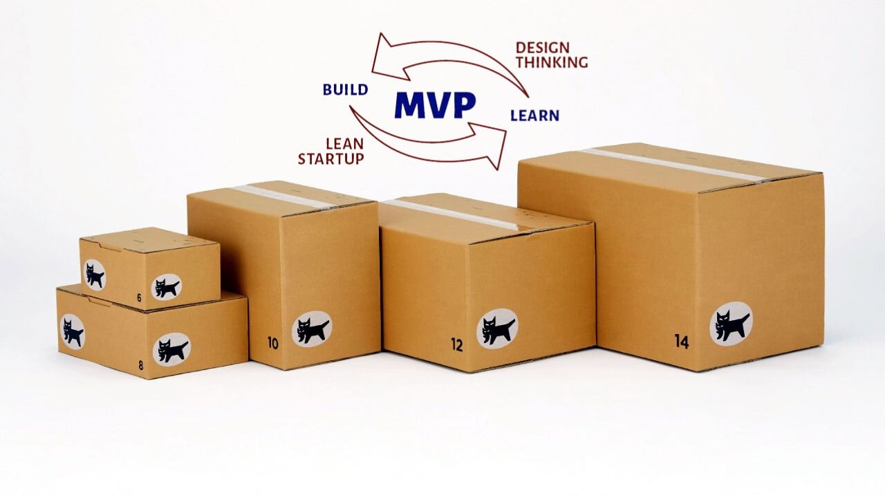 What is MVP? (Minimum Viable Products)