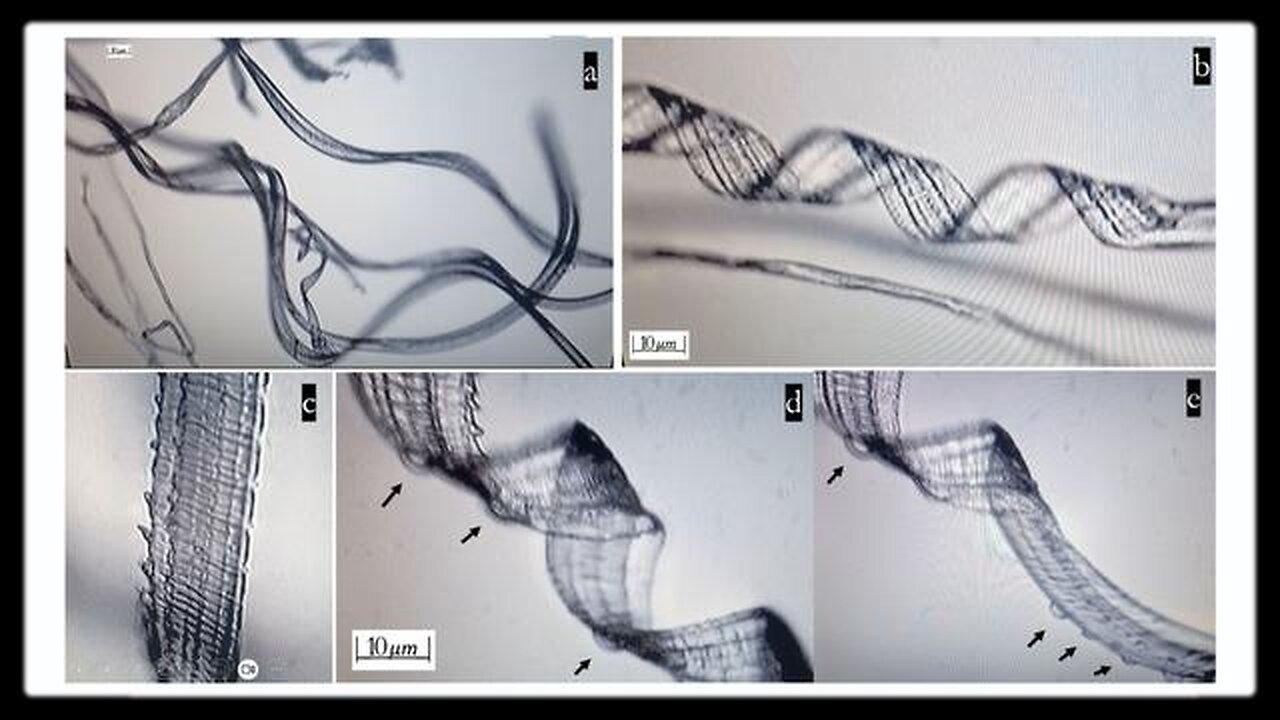 Recent Study Shows Self-Assembly Nanobots in the COVID-19 Injectables - Greg Reese