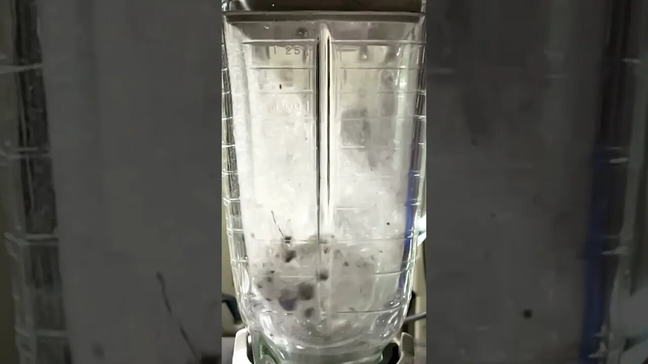 Light bulbs in a blender