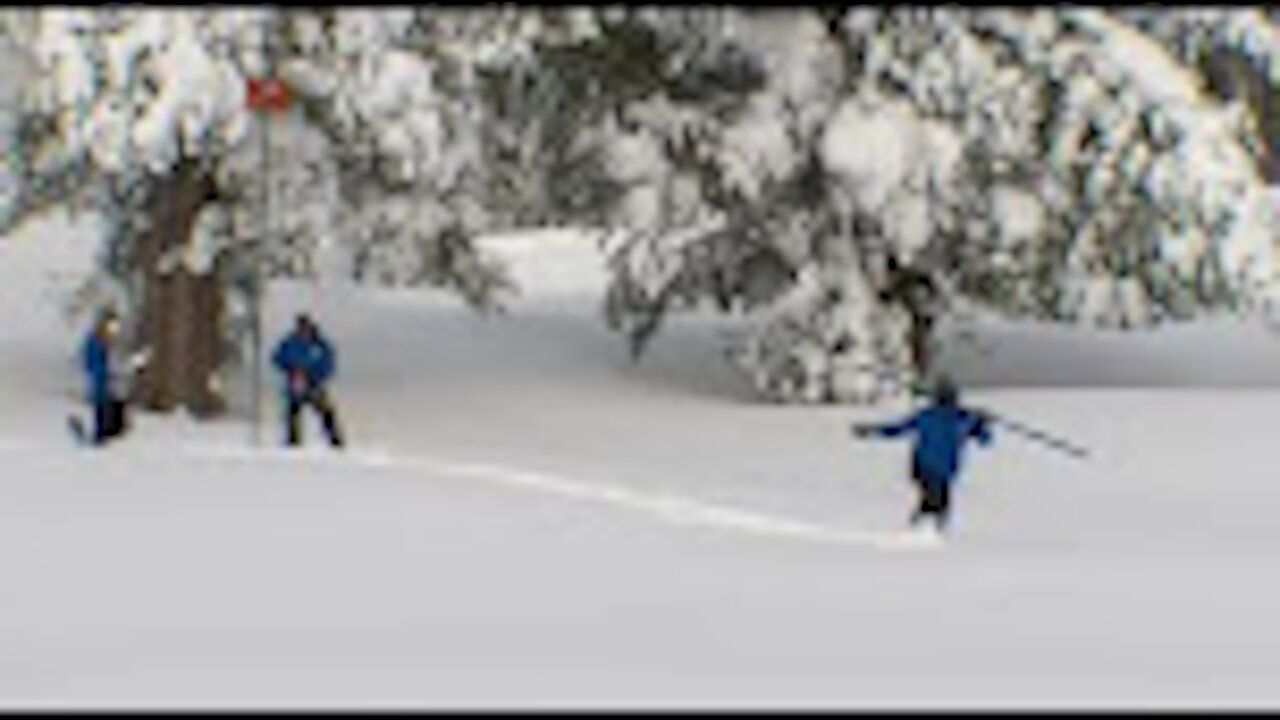 January 2022 Snow Survey, Phillips Station