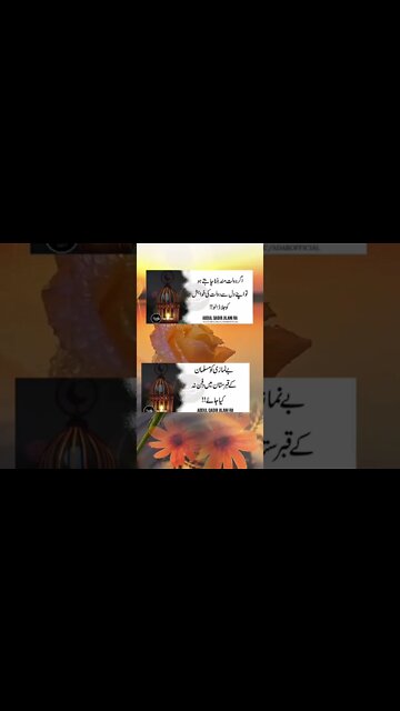 Respect 🔥🔥🔥🔥#respect #vrial #amazing #illusion #foru #wow #crazy #xyzbca #respekt OMG😱 #moments