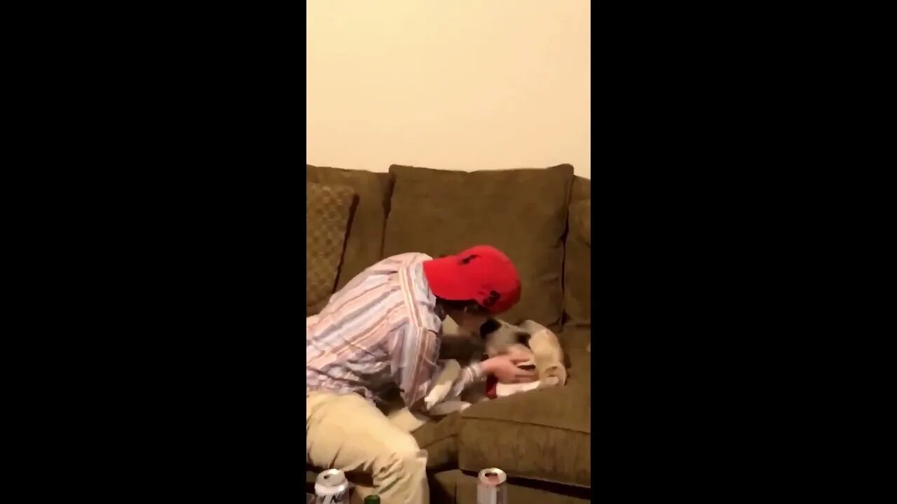When you’re at a party but you find the dog