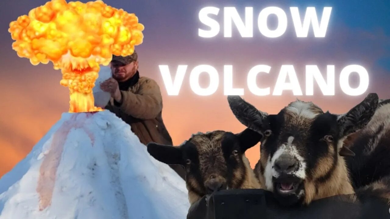 Snowmageddon - Part 2
