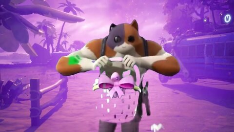 Fortnite Cat Dance Nice Moves!