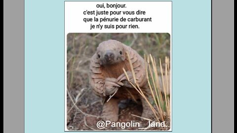 Les films du jour = 2022-10-19