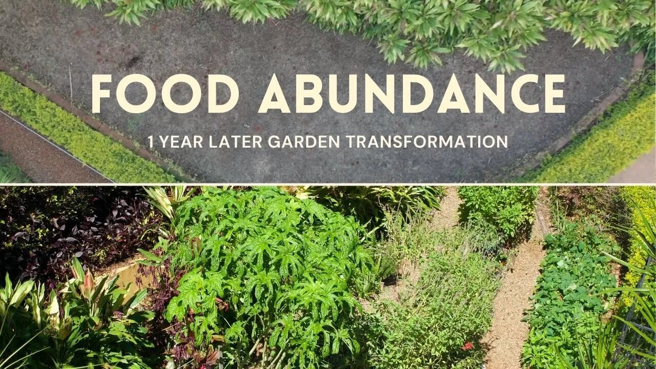 GROW FOOD ABUNDANCE IN 1 YEAR