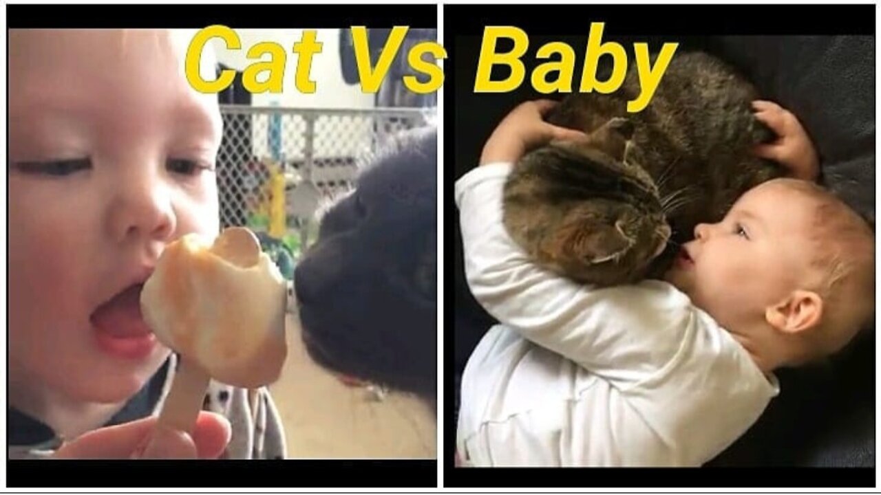 Cat vs baby cute moment when baby play with cat