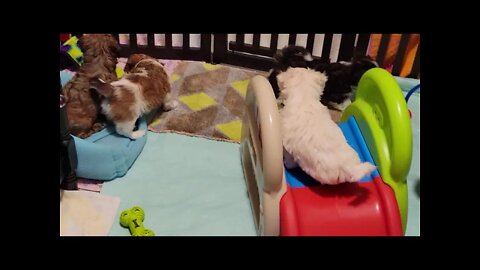 May 23rd...2 Days B4 Leaving(2)