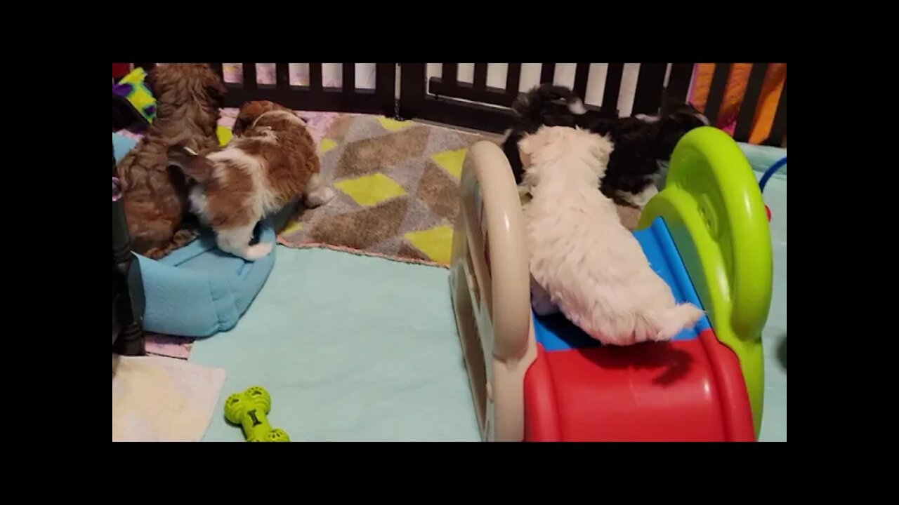 May 23rd...2 Days B4 Leaving(2)