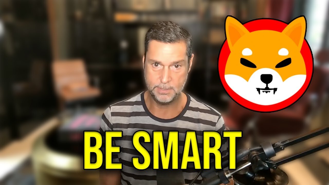 Yes, It's Too Late For Shiba But Think of It Like THIS | Raoul Pal