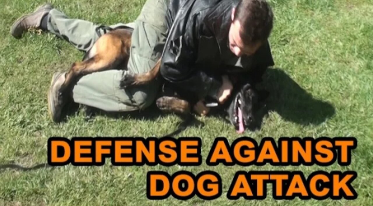 How to defend against a dog. Self defense against dog attack