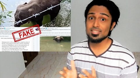 Killing Of Pregnant Elephant In Kerala: Here Is What Really Happened