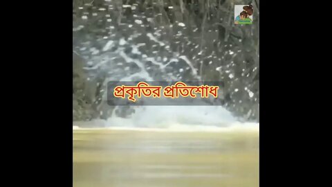 ll প্রকৃতির প্রতিশোধ কেমন দেখুন ll