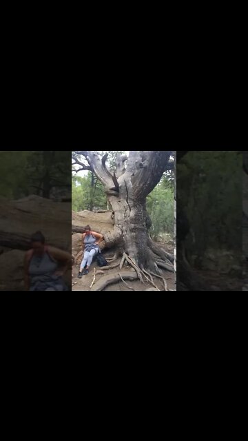 Jesus is Way Truth & Life! Fat Mans Loop- Flagstaff, Az July 24 2020