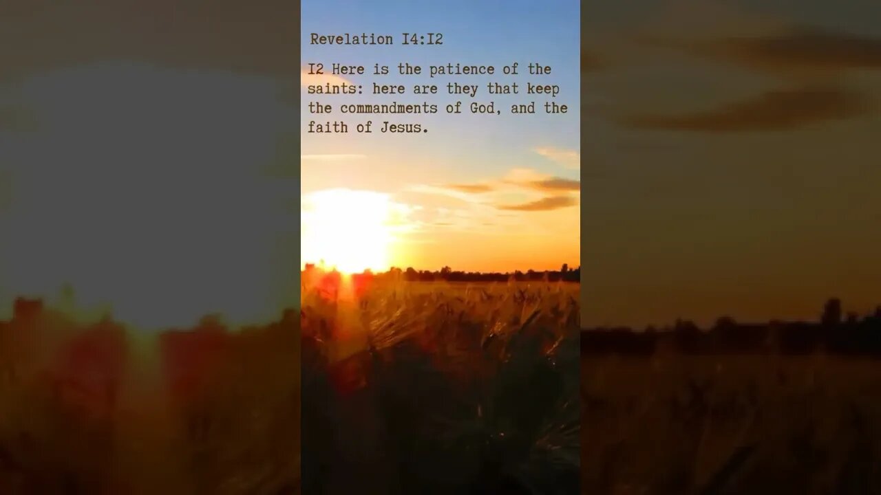 What is and who is a saint? #kjv #saints #shorts
