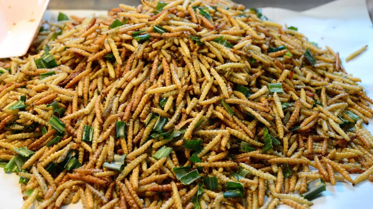 "High Protein Content" Insects Set To Crawl Onto The Plates Of Europeans. EU Rules Mealworms Safe!!!