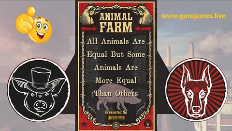 Piggy Bank-Animal Farm AMA LIveStream