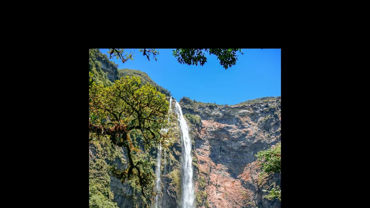 Relax Relaxing Water Sounds of nature Study sleep meditation Sounds of water Bird song.