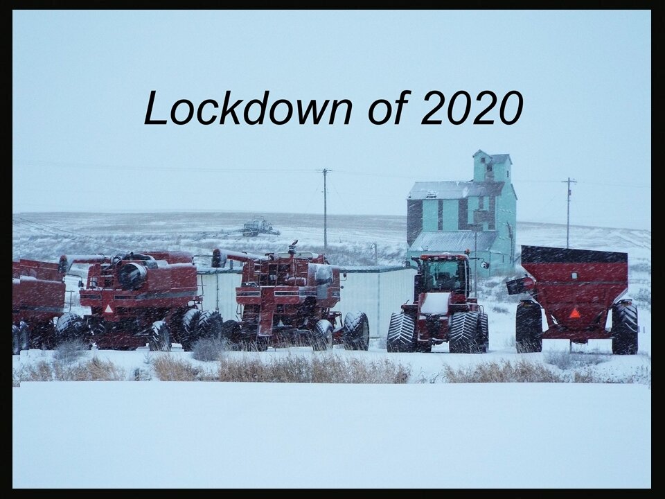 Covid Lockdown 2020 How Our Farmtown Was Open for Business